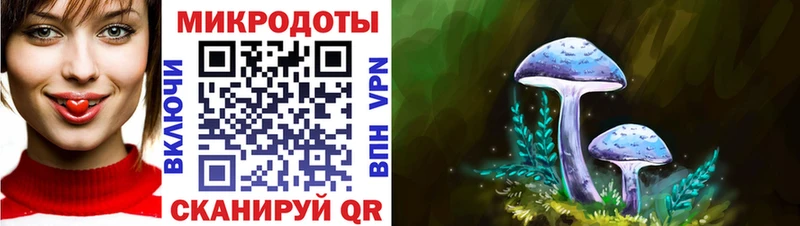 где найти   Солнечногорск  Галлюциногенные грибы Magic Shrooms 